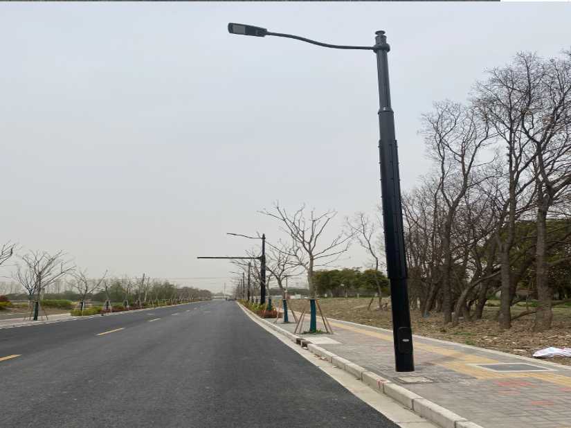 安远县上海综合杆 太阳能路灯工程